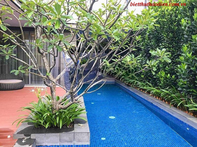 Cho thuê biệt thự holm có hồ bơi Cho thuê biệt thự holm có hồ bơi