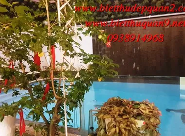 Biệt thự Thảo Điền trong compound