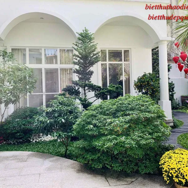 Biệt thự Thảo Điền bán gấp – Căn góc 524m2, sân vườn xanh mát, 5 phòng ngủ lớn