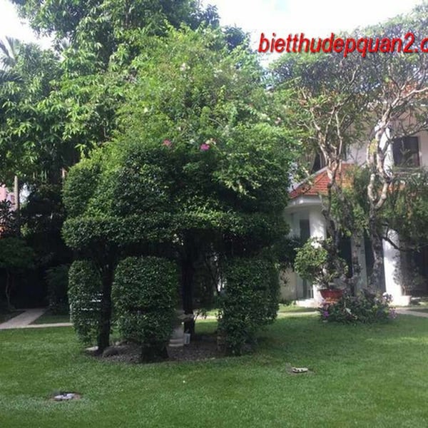 Bán Toàn Bộ Khu Villa Compound An Phú Thảo Điền – 4.000m2, 6 Biệt Thự Chuẩn Resort