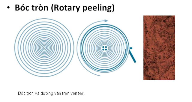 Ván MDF PHỦ VENEER XOAN