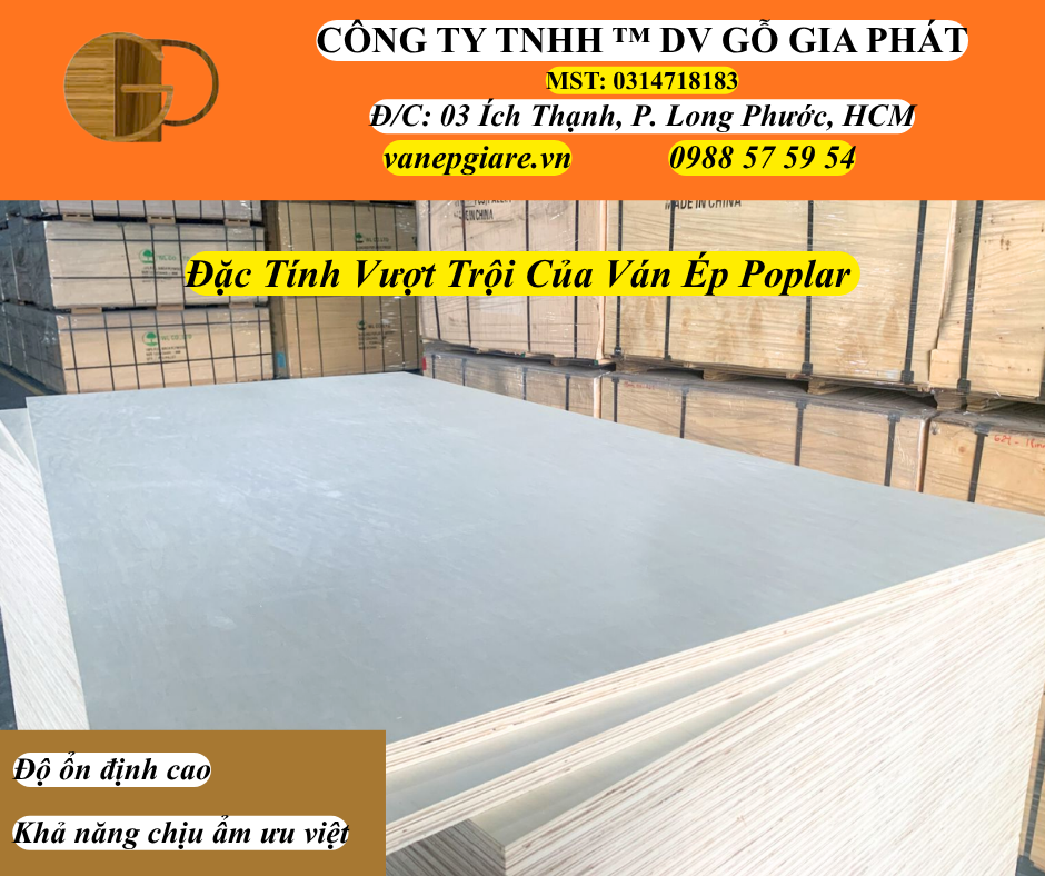 Đặc Tính Vượt Trội Của Ván Ép POPLAR