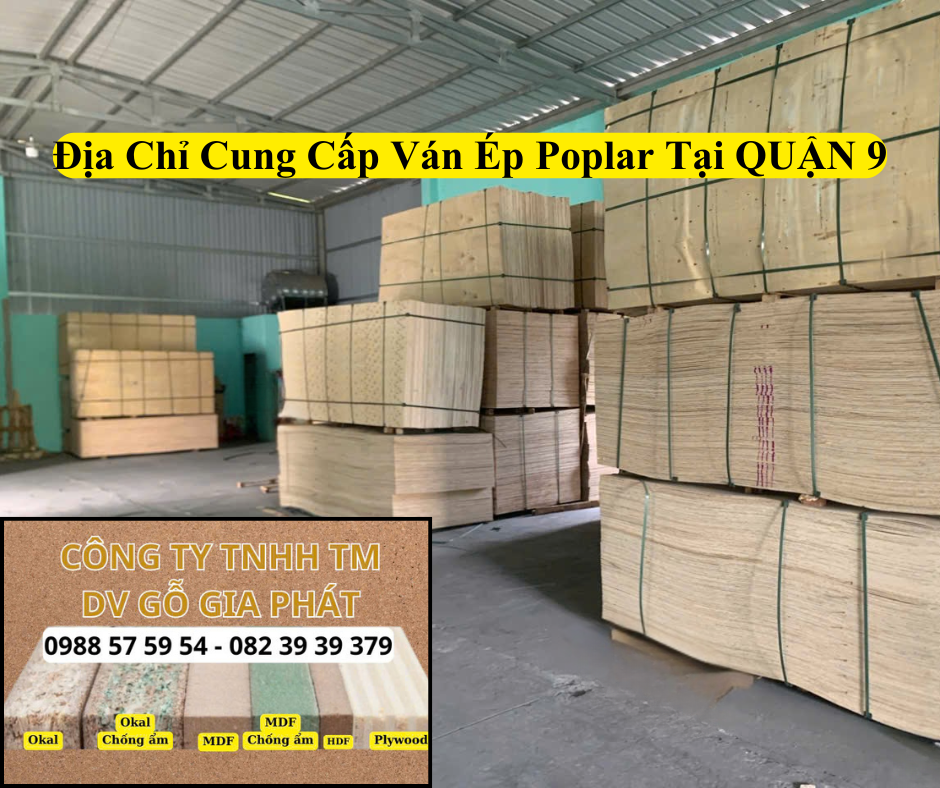 Địa Chỉ Cung Cấp Ván Ép Poplar Tại Quận 9