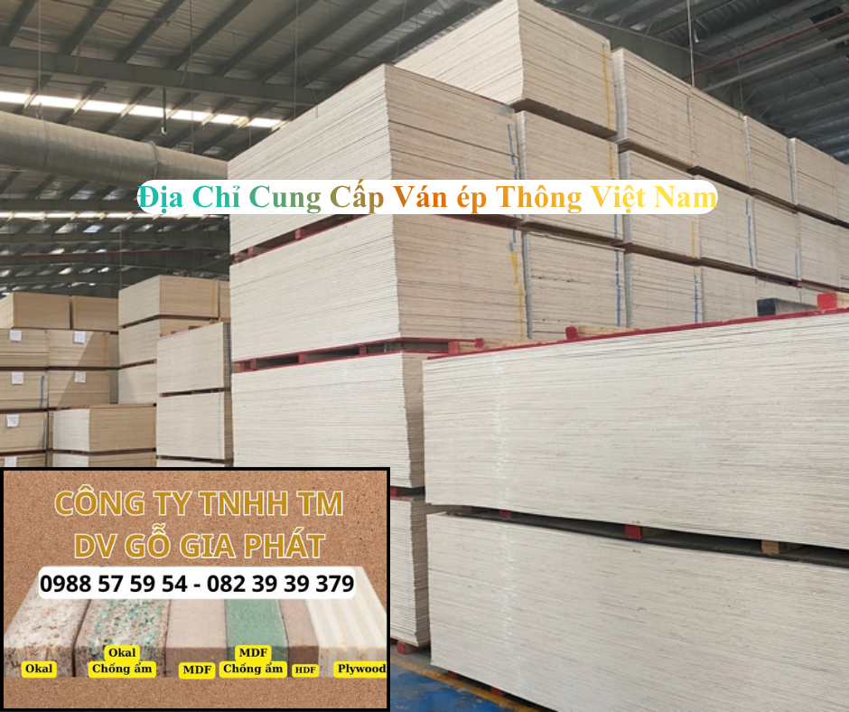Địa Chỉ Cung Cấp Ván Ép Thông Việt Nam