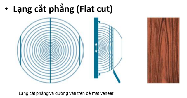 Ván MDF PHỦ VENEER XOAN