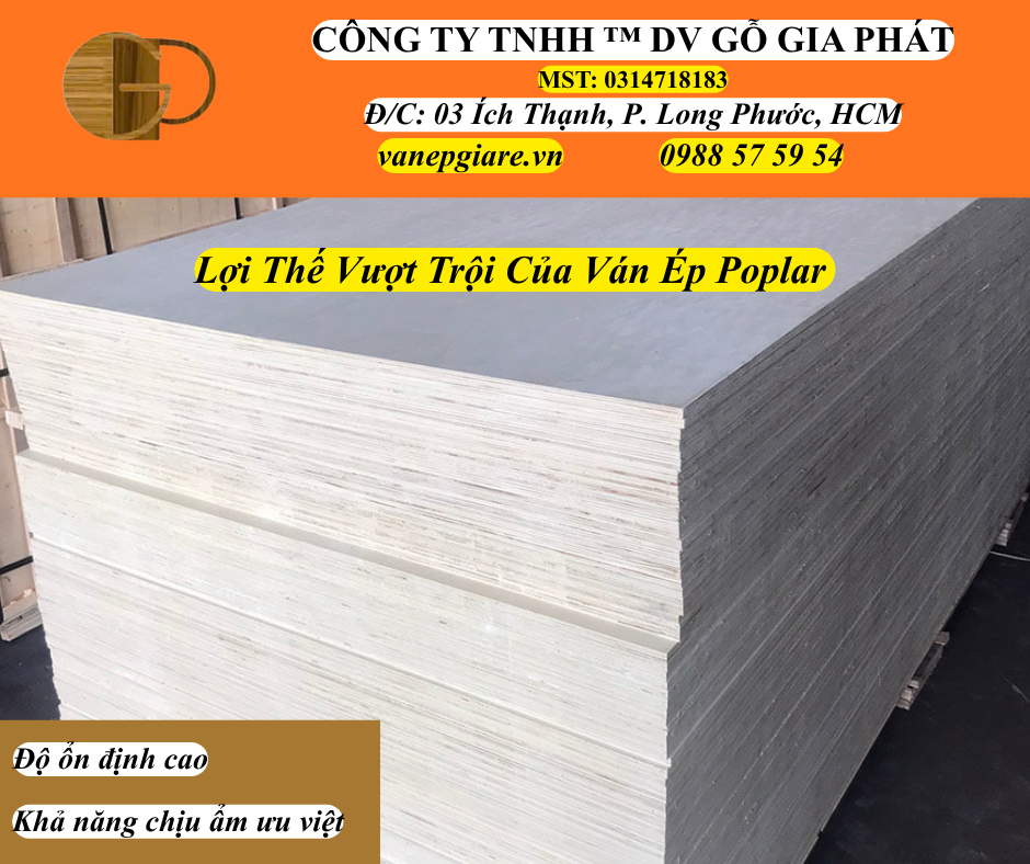 Lợi Thế Vượt Trội Của Ván Ép Poplar Mang Lại