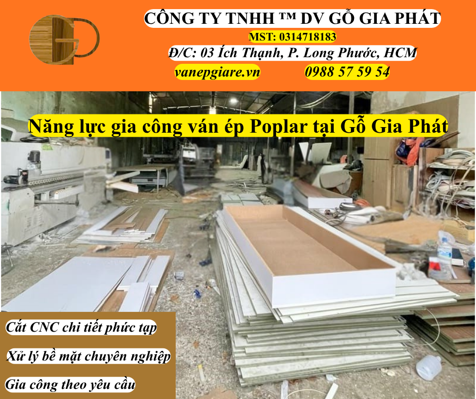 Năng lực gia công ván ép Poplar tại Gỗ Gia Phát