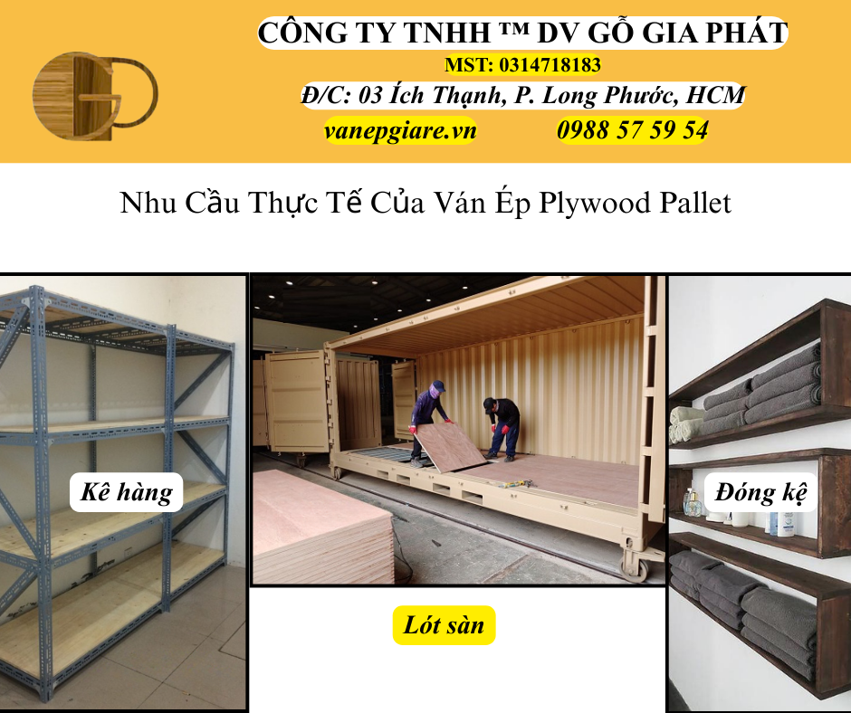 Nhu Cầu Thực Tế Của Ván Ép Pallet