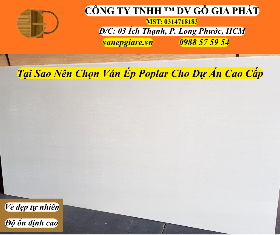 Tại Sao Nên Chọn Ván Ép Poplar Cho Dự Án Cao Cấp