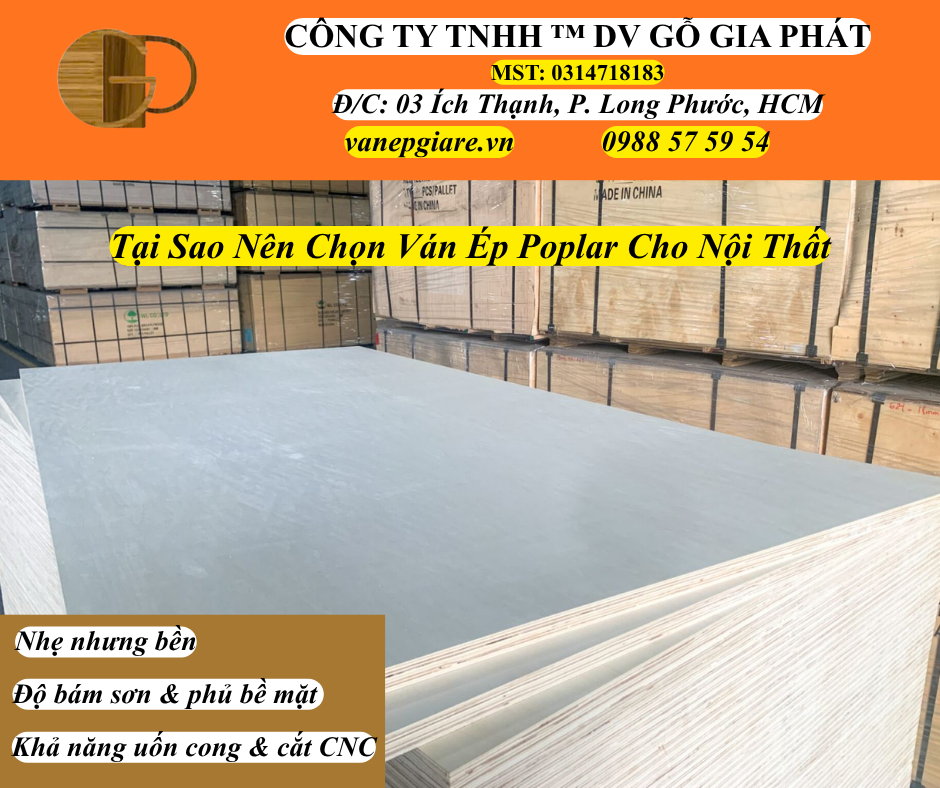 Tại Sao Nên Chọn Ván Ép Poplar Cho Ngành Nội Thất