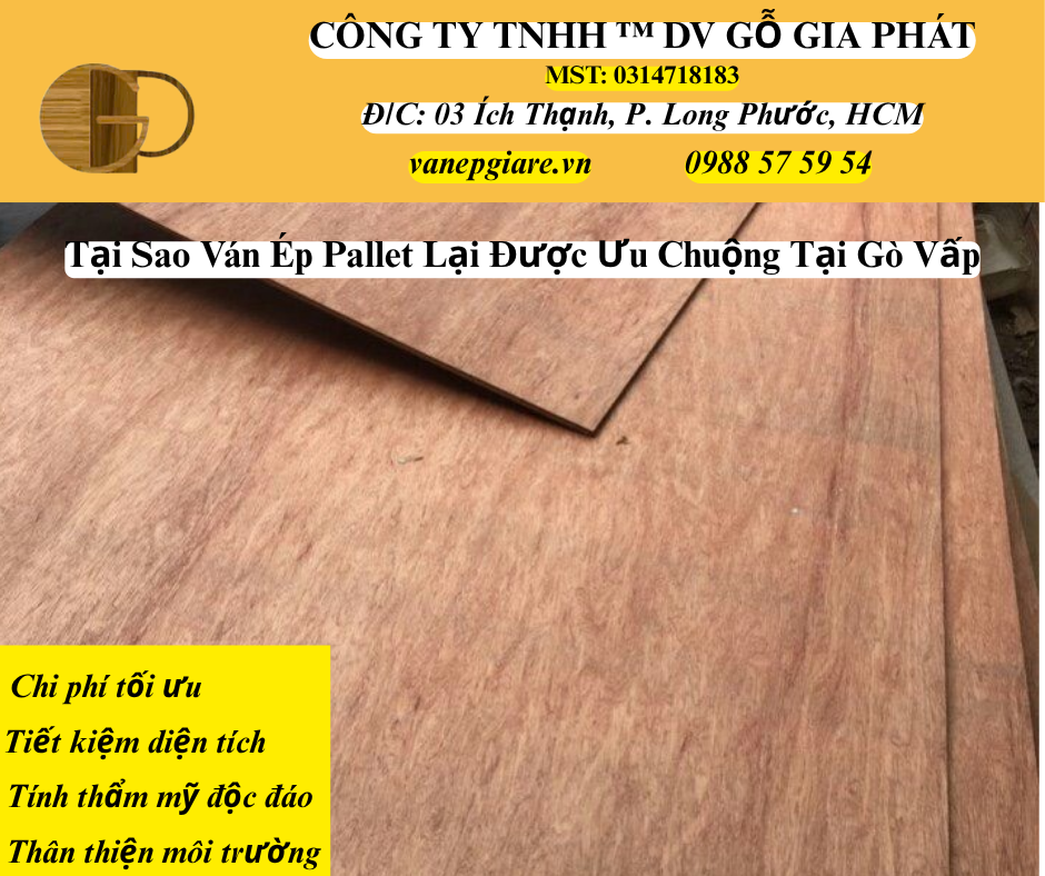 Tại Sao Ván Ép Pallet Được Ưu Chuộng Tại Gò Vấp