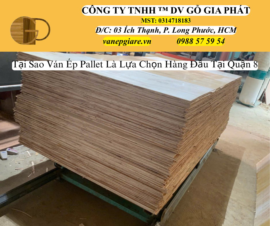 Tại Sao Ván Ép Pallet Là Lựa Chọn Hàng Đầu Tại Quận 8