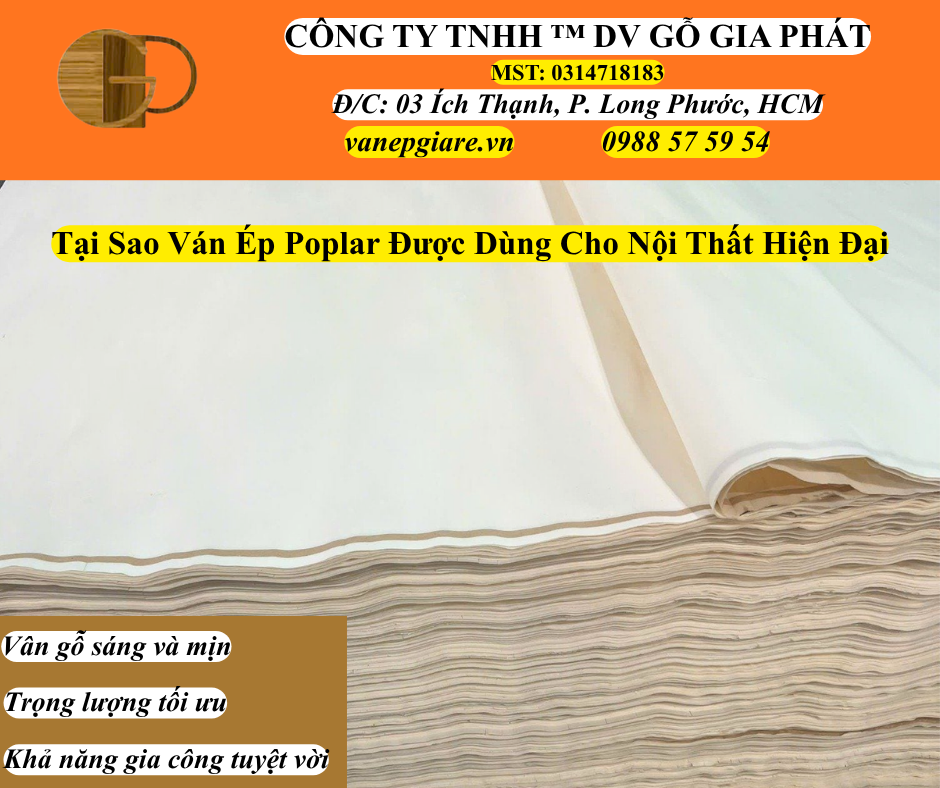 Tại Sao Ván Ép Poplar Được Dùng Cho Nội Thất Hiện Đại