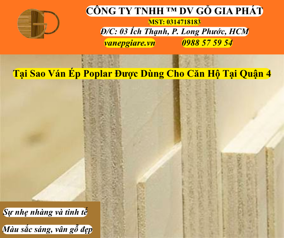 Tại Sao Ván Ép Poplar Được Dùng Cho Căn Hộ Tại Quận 4