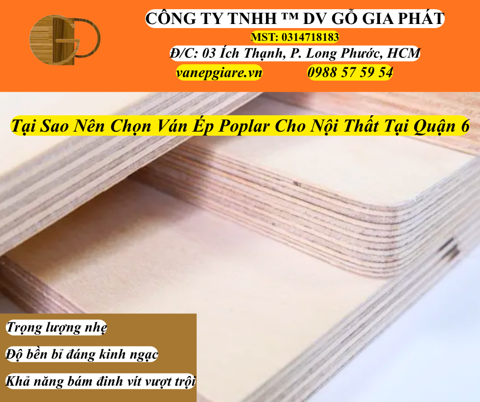 Tại Sao Nên Chọn Ván Ép Poplar Cho Ngành Nội Thất Hiện Đại