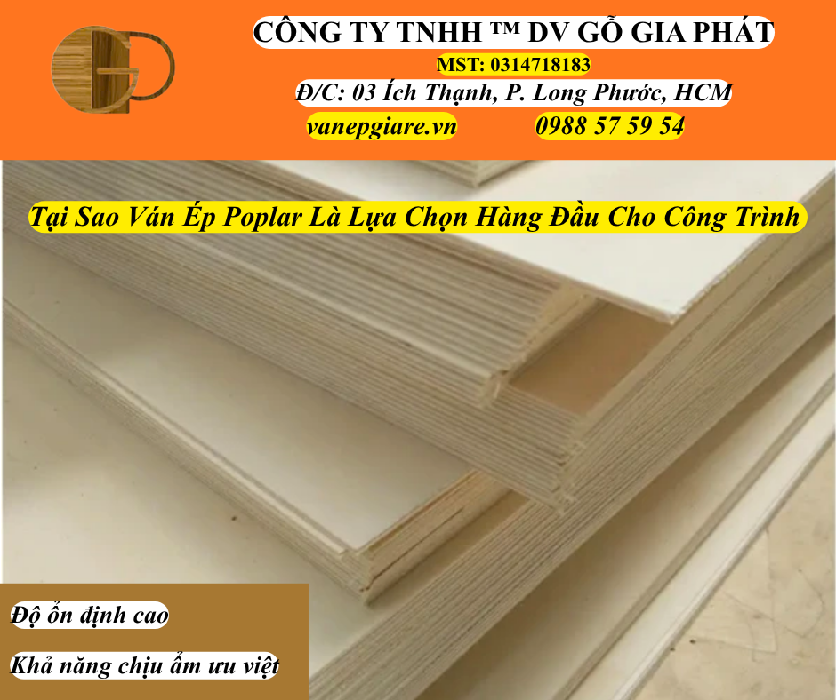 Tại Sao Ván Ép POPLAR Là Lựa Chọn Hàng Đầu Cho Công Trình