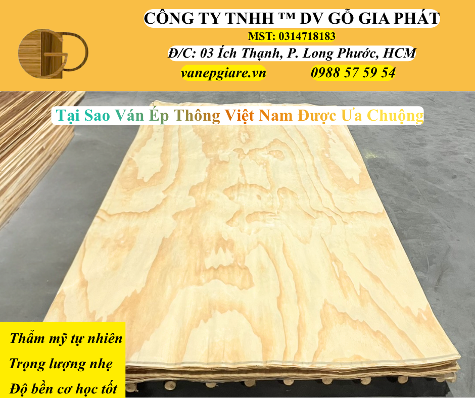 Tại Sao Ván Ép Thông Việt Nam Được Ưa Chuộng Hiện Nay