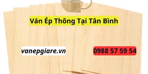 Ván Ép Thông Tại Tân Bình