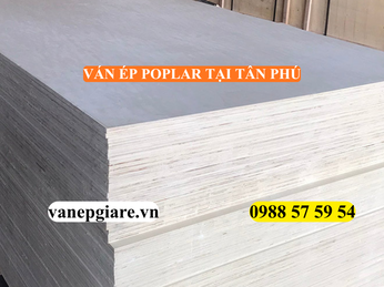VÁN ÉP POPLAR TẠI TÂN PHÚ – GIẢI PHÁP NỘI THẤT BỀN ĐẸP, TỐI ƯU CHI PHÍ CHO CĂN HỘ
