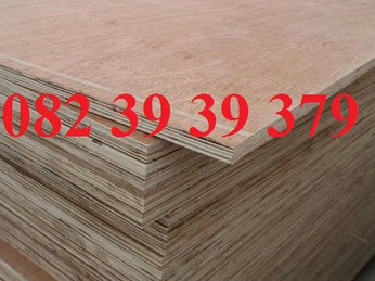 Chọn gỗ ván ép có khả năng chịu nước để nâng cao độ bền nội thất