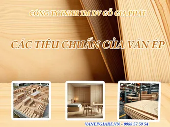 Các Tiêu Chuẩn Để Đảm Bảo Chất Lượng Ván Ép