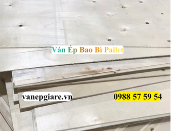Ván Ép Pallet Giá Rẻ: Giải Pháp Tối Ưu Chi Phí Đóng Gói Và Vận Chuyển
