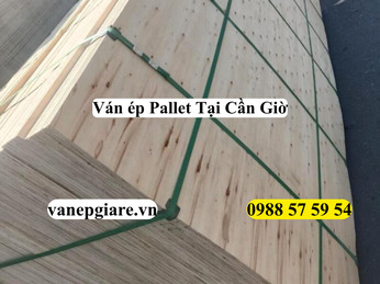 Ván Ép Pallet Tại Cần Giờ: Giải Pháp Gỗ Xanh Cho Ngành Hải Sản Và Du Lịch