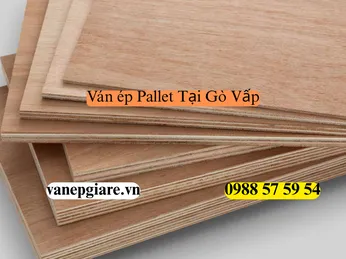 Ván Ép Pallet Tại Quận Gò Vấp: Khơi Nguồn Sáng Tạo Cho Không Gian Sống Trẻ