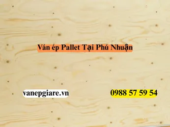 Ván Ép Pallet Tại Quận Phú Nhuận: Nghệ Thuật Tối Ưu Không Gian Sống Trong Hẻm Phố