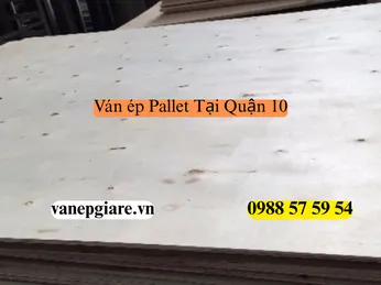 Ván Ép Pallet Tại Quận 10: Nâng Tầm Không Gian Kinh Doanh Với Chi Phí Tối Ưu