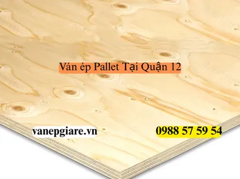 Ván Ép Pallet Tại Quận 12: Đòn Bẩy Cho Ngành Kho Vận Và Sản Xuất Công Nghiệp