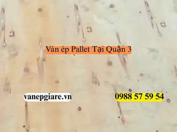 Ván Ép Pallet Tại Quận 3: Xu Hướng Decor Văn Phòng Và Không Gian Sáng Tạo