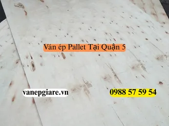 Ván Ép Pallet Tại Quận 5: Giải Pháp Gỗ Cho Kinh Doanh Và Trang Trí Hoài Cổ