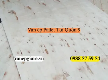 Ván Ép Pallet Tại Quận 9: Từ Tiêu Chuẩn Công Nghiệp Đến Nội Thất Căn Hộ Hiện Đại
