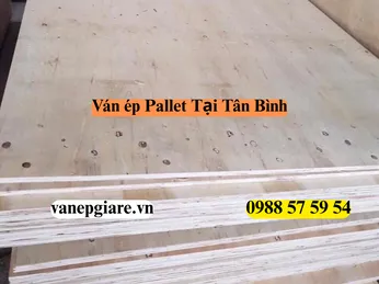 Ván Ép Pallet Tại Quận Tân Bình: Giải Pháp Đóng Gói Và Lưu Kho Chuyên Nghiệp
