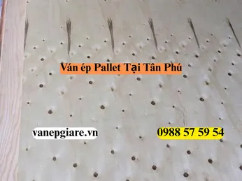 Ván Ép Pallet Tại Quận Tân Phú: Giải Pháp Gỗ Thông Minh Cho Ngành Sản Xuất Gia Dụng