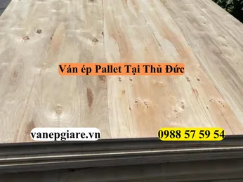 Ván Ép Pallet Tại Quận Thủ Đức: Từ Nội Thất Sinh Viên Đến Đóng Gói Xuất Khẩu