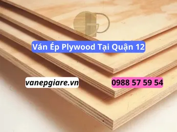 Ván Ép Plywood Tại Quận 12