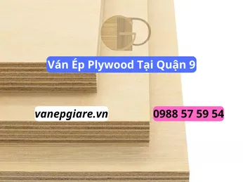 Ván Ép Plywood Tại Quận 9