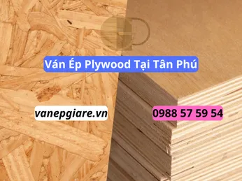 Ván Ép Plywood Tại Tân Phú