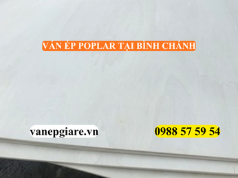 VÁN ÉP POPLAR TẠI BÌNH CHÁNH – GIẢI PHÁP NỘI THẤT VỮNG CHẮC, GIÁ TỐT CHO NHÀ PHỐ & DỰ ÁN