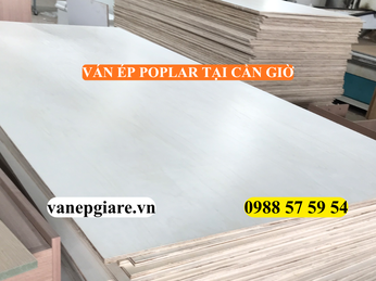VÁN ÉP POPLAR TẠI CẦN GIỜ – GIẢI PHÁP NỘI THẤT CHỐNG ẨM, BỀN BỈ VÙNG VEN BIỂN