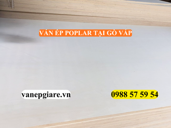 VÁN ÉP POPLAR TẠI GÒ VẤP – GIẢI PHÁP NỘI THẤT TINH TẾ CHO NHÀ PHỐ & KHÔNG GIAN KINH DOANH
