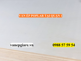 VÁN ÉP POPLAR TẠI QUẬN 1 – LỰA CHỌN CAO CẤP CHO THIẾT KẾ NỘI THẤT SANG TRỌNG