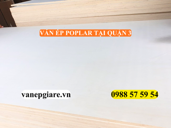 VÁN ÉP POPLAR TẠI QUẬN 3 – GIẢI PHÁP NỘI THẤT TINH TẾ CHO BIỆT THỰ & VĂN PHÒNG CAO CẤP
