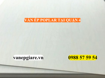VÁN ÉP POPLAR TẠI QUẬN 4 – GIẢI PHÁP NỘI THẤT TINH TẾ CHO CĂN HỘ HIỆN ĐẠI