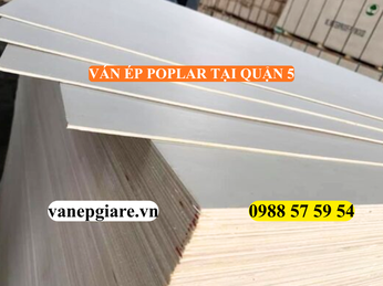 VÁN ÉP POPLAR TẠI QUẬN 5 – SỰ KẾT HỢP HOÀN HẢO GIỮA ĐỘ BỀN VÀ TÍNH KINH TẾ