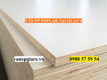 VÁN ÉP POPLAR TẠI QUẬN 6 – SỰ LỰA CHỌN HOÀN HẢO CHO KHÔNG GIAN SỐNG VÀ KINH DOANH