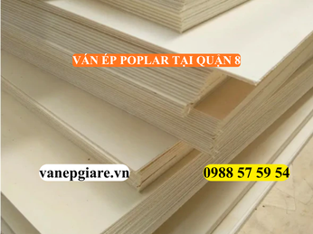 VÁN ÉP POPLAR TẠI QUẬN 8 – GIẢI PHÁP NỘI THẤT BỀN BỈ, CHỐNG ẨM CHO CĂN HỘ ĐÔ THỊ