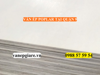 VÁN ÉP POPLAR TẠI QUẬN 9 – GIẢI PHÁP NỘI THẤT THÔNG MINH CHO NHÀ PHỐ & BIỆT THỰ